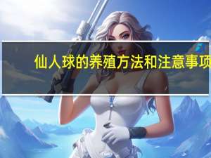 仙人球的养殖方法和注意事项：喜欢干燥的环境