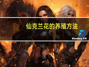 仙克兰花的养殖方法