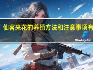 仙客来花的养殖方法和注意事项有哪些