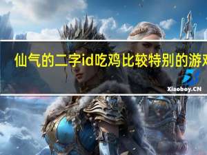 仙气的二字id吃鸡 比较特别的游戏名