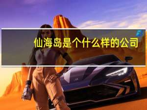 仙海岛是个什么样的公司