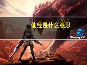 仙经是什么意思