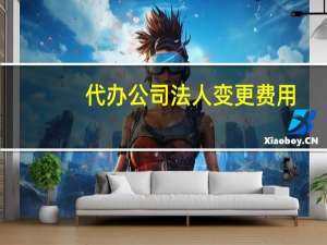 代办公司法人变更费用