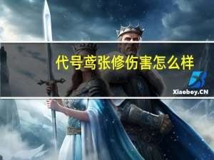 代号鸢张修伤害怎么样