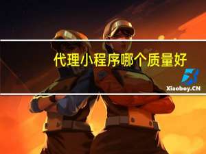 代理小程序哪个质量好