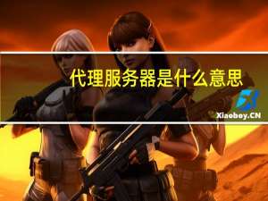 代理服务器是什么意思（代理服务器是什么）