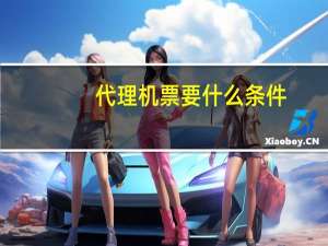 代理机票要什么条件