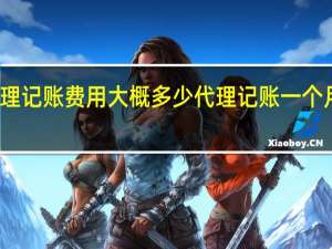 代理记账费用大概多少 代理记账一个月多少钱
