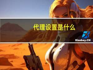 代理设置是什么（代理设置是什么意思）