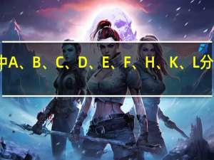 代码中A、 B、 C、 D、 E、 F、 H、 K、 L分别表示什么