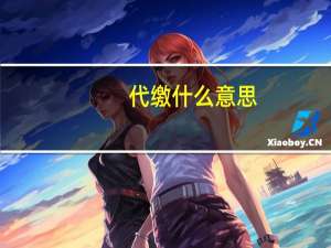 代缴什么意思
