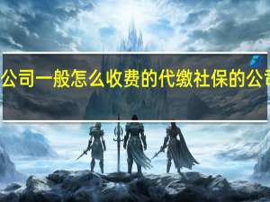 代缴社保的公司一般怎么收费的 代缴社保的公司一般如何收费的