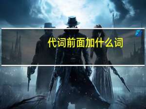 代词前面加什么词