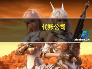 代账公司（关于代账公司的介绍）