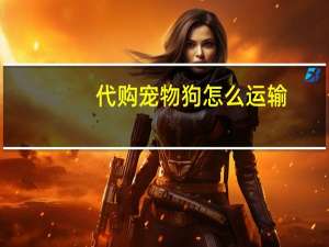 代购宠物狗怎么运输