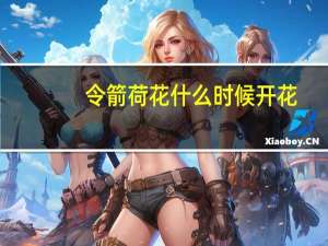 令箭荷花什么时候开花