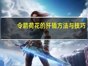 令箭荷花的扦插方法与技巧