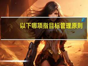 以下哪项指目标管理原则（目标管理原则）