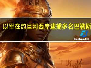 以军在约旦河西岸逮捕多名巴勒斯坦人