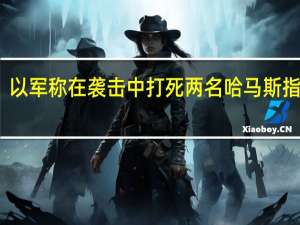 以军称在袭击中打死两名哈马斯指挥官