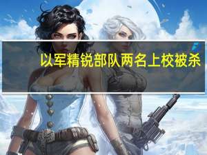 以军精锐部队两名上校被杀
