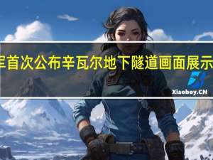 以军首次公布辛瓦尔地下隧道画面 展示打击细节