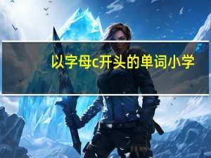 以字母c开头的单词小学