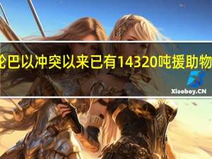 以方称本轮巴以冲突以来已有14320吨援助物资进入加沙地带