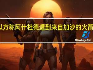 以方称阿什杜德遭到来自加沙的火箭弹袭击