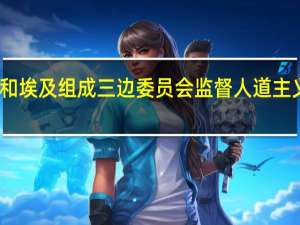 以色列、美国和埃及组成三边委员会监督人道主义援助进入加沙地带