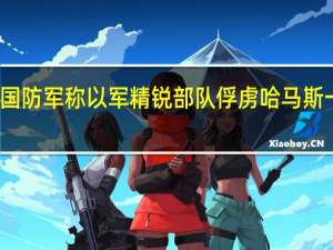 以色列国防军称以军精锐部队俘虏哈马斯一名副指挥官