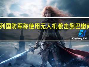 以色列国防军称使用无人机袭击黎巴嫩南部一组织