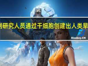 以色列研究人员通过干细胞创建出人类早期胚胎模型