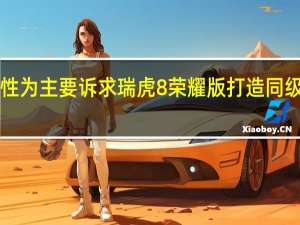 以高实用性为主要诉求 瑞虎8 荣耀版打造同级“性价比之王”