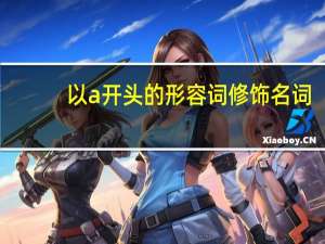 以a开头的形容词修饰名词