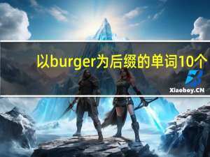 以burger为后缀的单词10个