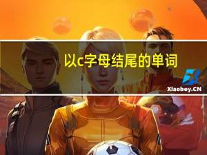 以c字母结尾的单词