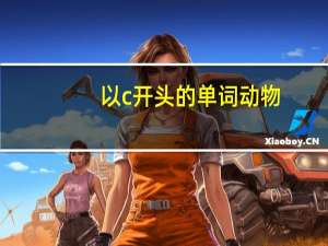 以c开头的单词动物