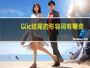 以ic结尾的形容词有哪些