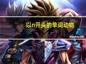 以n开头的单词动物