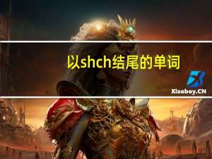 以sh ch结尾的单词
