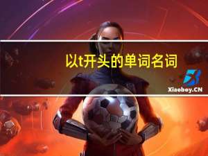 以t开头的单词名词