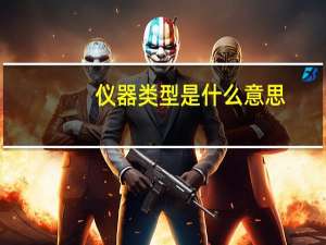 仪器类型是什么意思