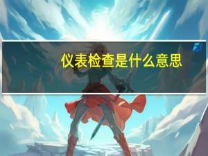 仪表检查是什么意思