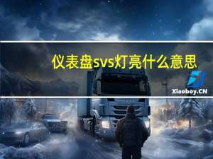仪表盘svs灯亮什么意思