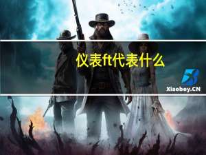 仪表ft代表什么