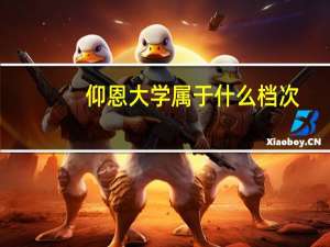 仰恩大学属于什么档次