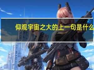 仰观宇宙之大的上一句是什么