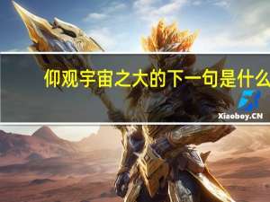 仰观宇宙之大的下一句是什么