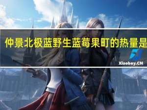 仲景 北极蓝野生蓝莓果町的热量是多少